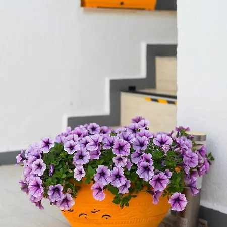 Seven Art Feslegen Apartament *