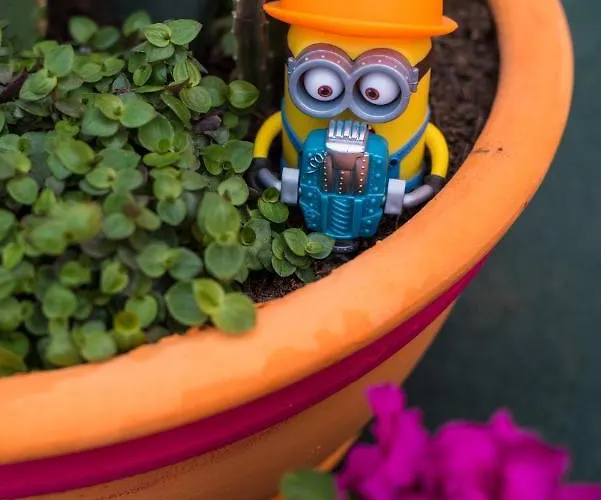 Apartament Seven Art Feslegen