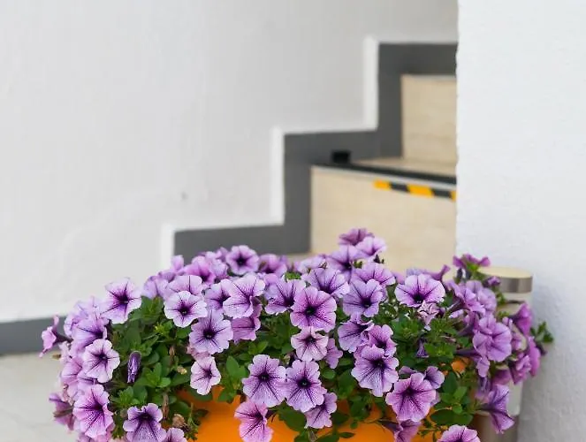 Seven Art Feslegen Apartament *