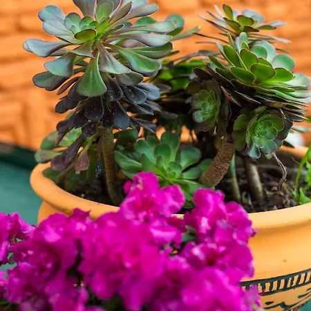 아파트 Seven Art Feslegen