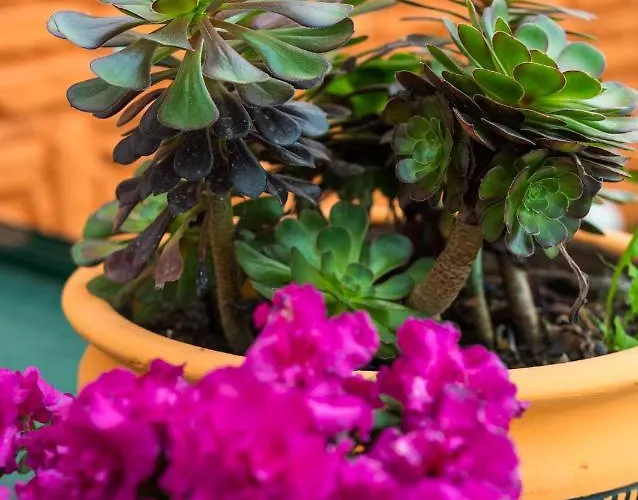 Διαμέρισμα Seven Art Feslegen